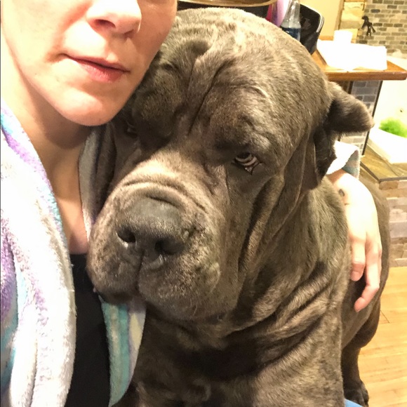 Meet your Posher, Christine - Picture 4 of 5